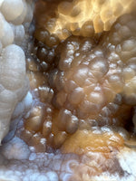 Withlacoochee River Agatized Coral #4