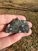 6th Vein Ocean Jasper Polished Freeform #55