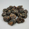 Madagascar Raw Amber Specimens BIN #1