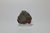 Raw Amber Specimen #12