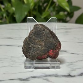 Raw Amber Specimen #12