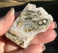 8th Vein Ocean Jasper Polished Free Form #8