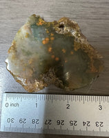8th Vein Ocean Jasper Slab #76