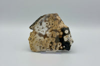 8th Vein Ocean Jasper Slab #58