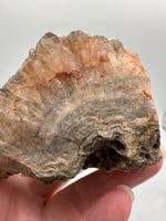 Druzy Quartz Haunted Ridge Rocks MO #4