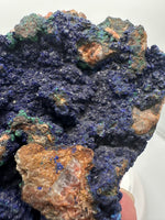 Azurite and Malachite, Tiznit, Morocco