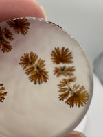 Scenic Dendritic Agate Cabochon #2