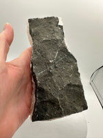 Apophyllite, Prehnite, Maharashtra, India