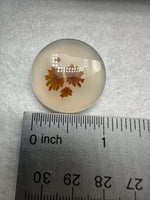 Scenic Dendritic Agate Cabochon #4