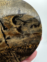 Natural Picture Jasper Slab with Stand #11