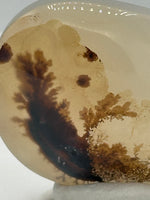 Designer Dendritic Agate Cabochon #6