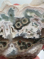 One of a Kind Bunny Shaped 8th Vein Ocean Jasper Slab #2