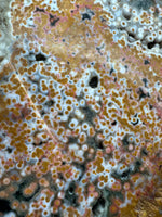 8th Vein Ocean Jasper Slab #24