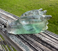 Fluorite Dragon Head Carving #15