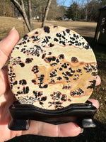 Natural Picture Jasper Slab with Stand #8