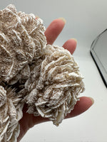 Selenite "Desert Rose," Samalayuka Desert, Chihuahua, Mexico #2