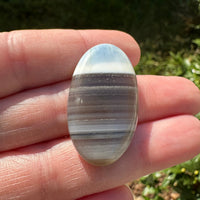 Owyhee Blue Opal Cabochon #22