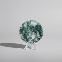 Moss Agate Polished Round Slice #18
