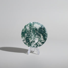 Moss Agate Polished Round Slice #18