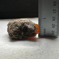 Madagascar Raw Amber Specimen #14