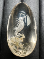 Beautiful Seahorse Garden Quartz Inner Scene Carving #3