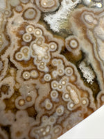 8th Vein Ocean Jasper Slab #65
