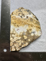8th Vein Ocean Jasper Slab #132
