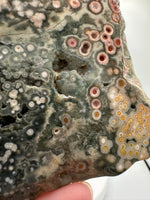 8th Vein Ocean Jasper Slab #21