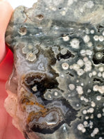 8th Vein Ocean Jasper Slab #21