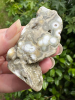 8th Vein Ocean Jasper Polished Free Form #32