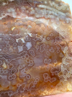 8th Vein Ocean Jasper Slab #66