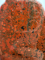 8th Vein Ocean Jasper Slab #7