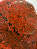 8th Vein Ocean Jasper Slab #7