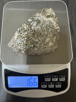 Rare 8th Vein Ocean Jasper Slab #8 – Dense Orbicular Pattern – Madagascar