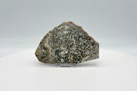 8th Vein Ocean Jasper Slab #8