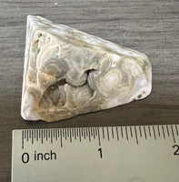 8th Vein Ocean Jasper Polished Free Form #14