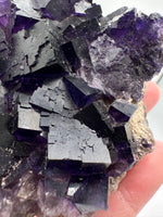 Dark Purple Fluorite Specimen – Melchor Muzquiz, Coahuila, Mexico
