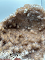 Withlacoochee River Agatized Coral #9