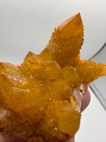 Sunshine Spirit Cactus, Golden Healer Quartz Cluster, South Africa #2