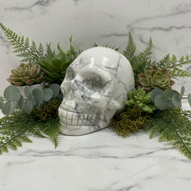 Natural Howlite Skull