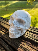 Natural Howlite Skull