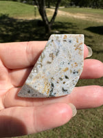 Ocean Jasper Free-form #10