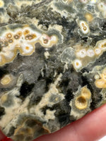 8th Vein Ocean Jasper Slab #33
