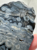 8th Vein Ocean Jasper Slab #45