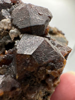 Andradite Garnet, Zacatecas, Mexico