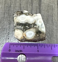 6th Vein Ocean Jasper Polished Freeform #32