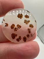 Scenic Dendritic Agate Cabochon #5