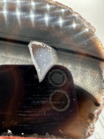 Polished Front Agate Geode #2