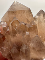 Kundalini Natural Citrine Crystal, D R Congo, Lightbrary #9