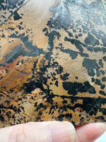Nevada Picture Jasper Slab - Old Stock